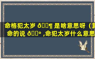 命格犯太岁 🐶 是啥意思呀（算命的说 🌺 ,命犯太岁什么意思）